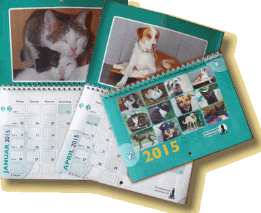 Der Tierheimkalender